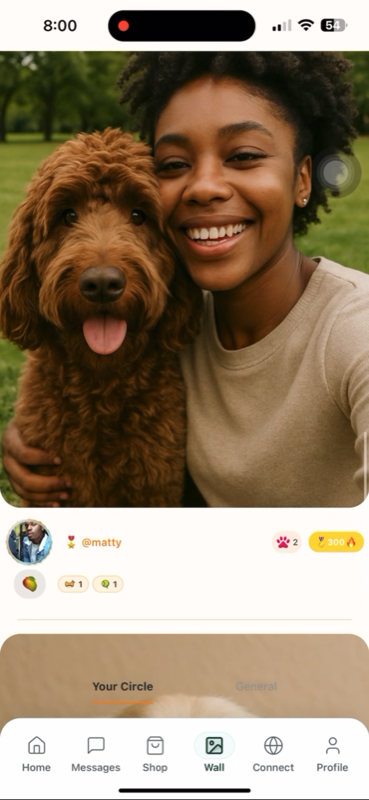 MangoPets comprehensive pet profile setup with health history tracking