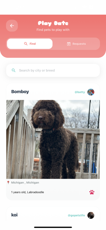 MangoPets event calendar showing upcoming pet-friendly activities and playdates